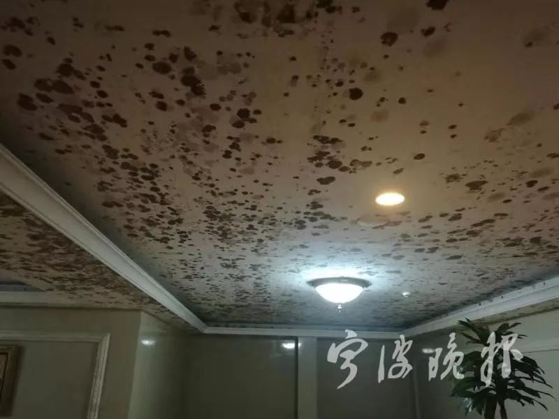 回南天氣梅雨季墻面受潮發(fā)霉用除濕機好嗎？
