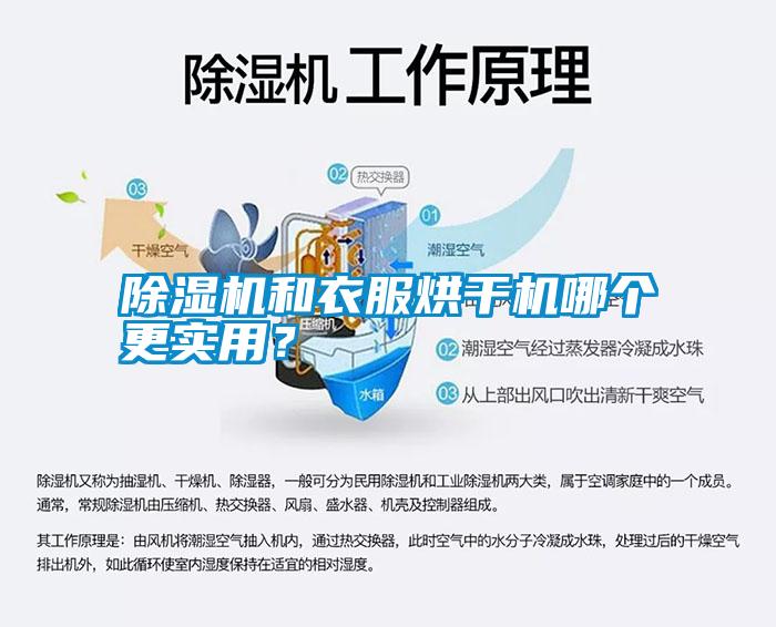 除濕機(jī)和衣服烘干機(jī)哪個(gè)更實(shí)用？