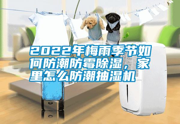 2022年梅雨季節(jié)如何防潮防霉除濕，家里怎么防潮抽濕機