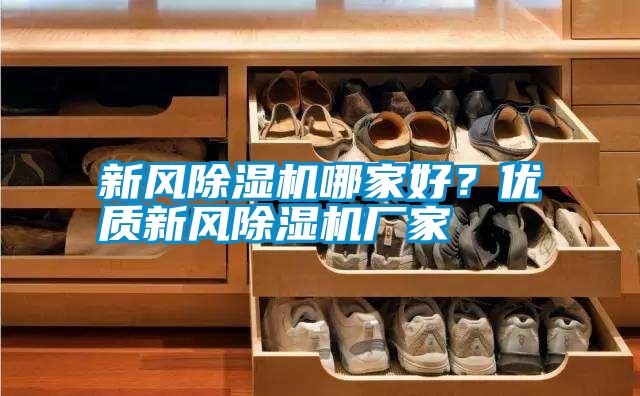 新風除濕機哪家好？優(yōu)質(zhì)新風除濕機廠家