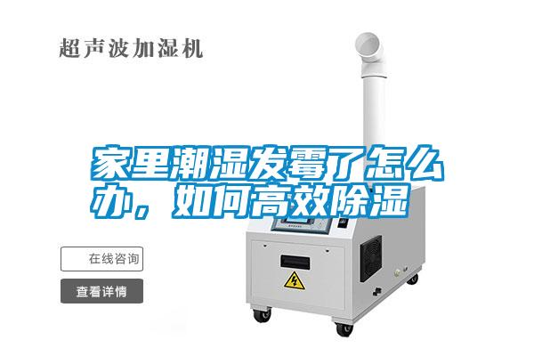 家里潮濕發(fā)霉了怎么辦，如何高效除濕