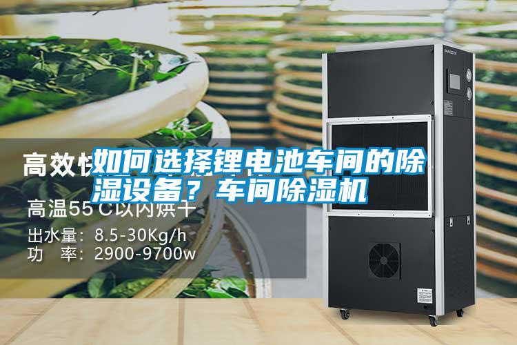 如何選擇鋰電池車間的除濕設(shè)備？車間除濕機(jī)