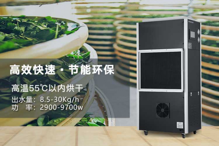 潮濕天氣來襲，螨蟲爆滿床！