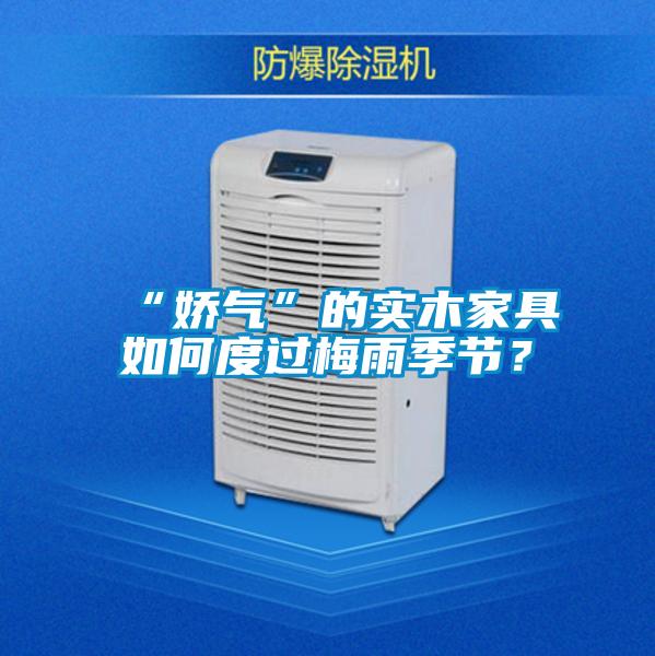 “嬌氣”的實(shí)木家具如何度過梅雨季節(jié)？