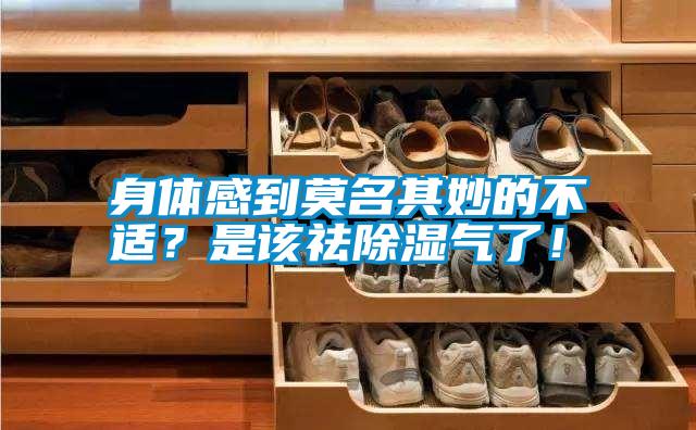 身體感到莫名其妙的不適？是該祛除濕氣了！