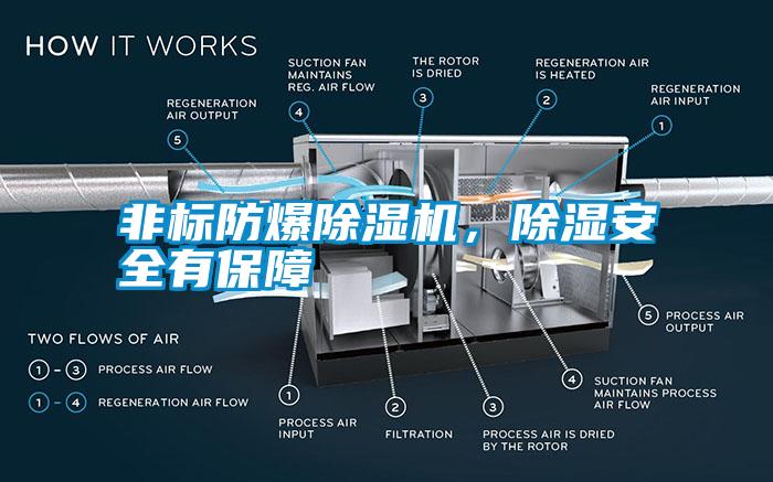 非標防爆除濕機，除濕安全有保障