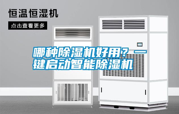 哪種除濕機好用？一鍵啟動智能除濕機