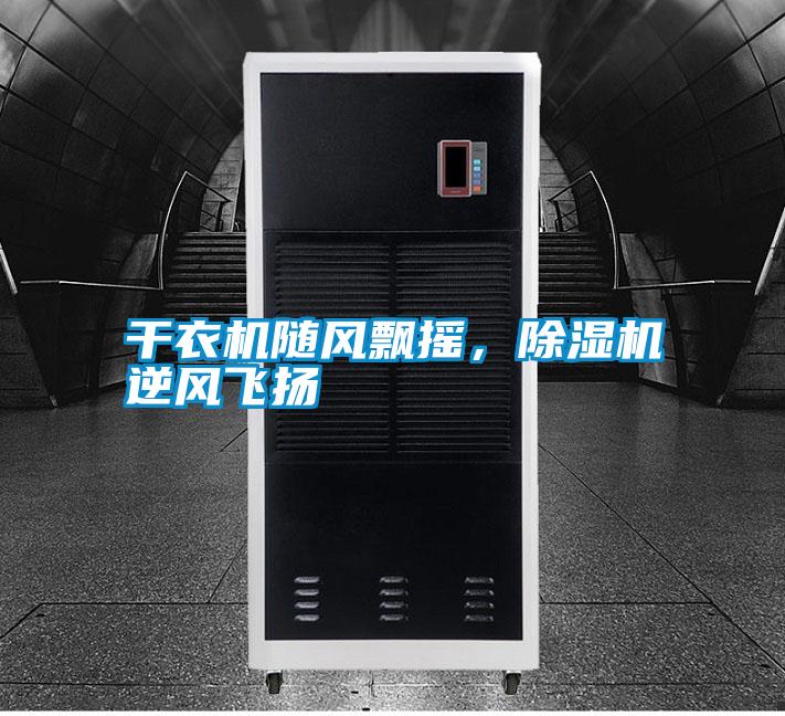 干衣機(jī)隨風(fēng)飄搖，除濕機(jī)逆風(fēng)飛揚(yáng)