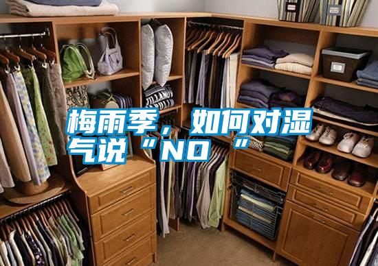 梅雨季，如何對濕氣說“NO ”