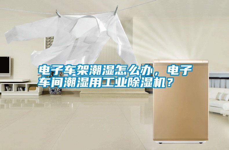 電子車架潮濕怎么辦，電子車間潮濕用工業(yè)除濕機(jī)？