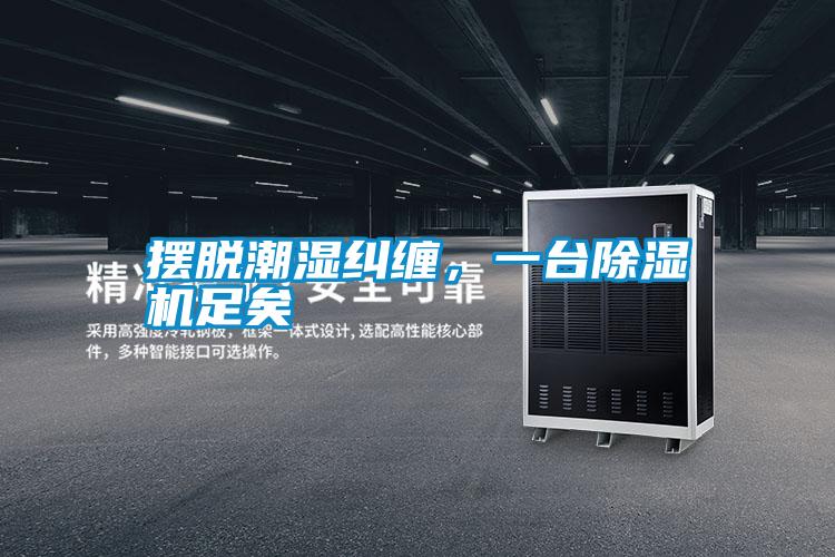 擺脫潮濕糾纏，一臺除濕機(jī)足矣