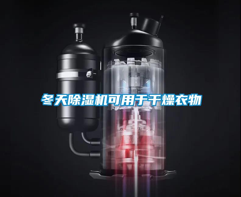 冬天除濕機(jī)可用于干燥衣物