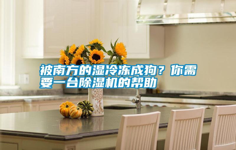 被南方的濕冷凍成狗？你需要一臺除濕機的幫助