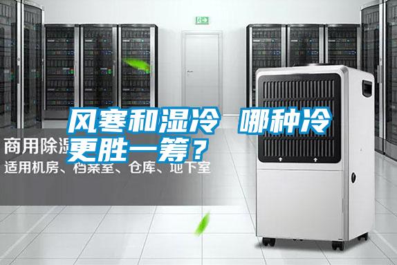 風(fēng)寒和濕冷 哪種冷更勝一籌？