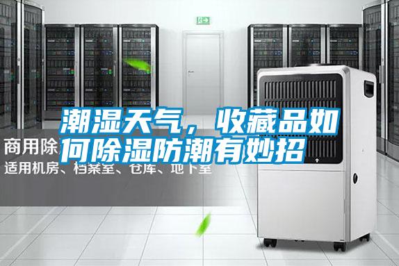 潮濕天氣，收藏品如何除濕防潮有妙招