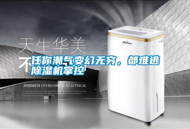 任你潮氣變幻無窮，都難逃除濕機(jī)掌控