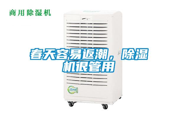 春天容易返潮，除濕機(jī)很管用