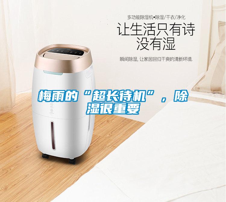 梅雨的“超長(zhǎng)待機(jī)”，除濕很重要