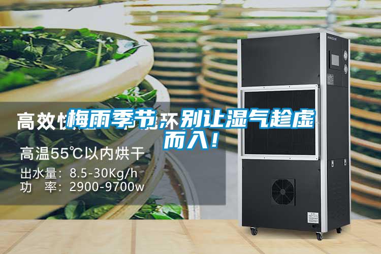 梅雨季節(jié)，別讓濕氣趁虛而入！