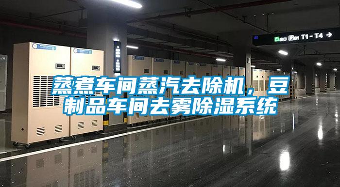 蒸煮車間蒸汽去除機(jī)，豆制品車間去霧除濕系統(tǒng)