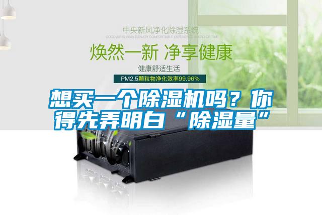 想買一個除濕機嗎？你得先弄明白“除濕量”