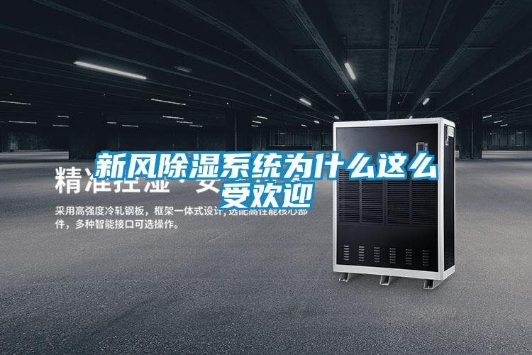 新風除濕系統(tǒng)為什么這么受歡迎