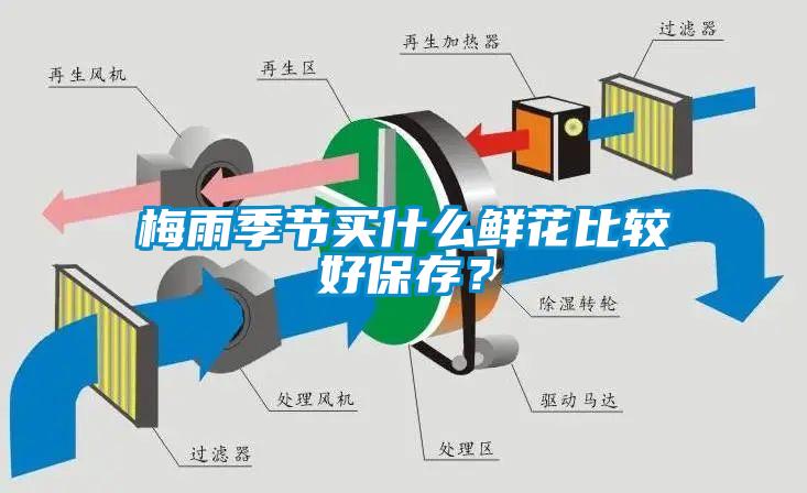 梅雨季節(jié)買什么鮮花比較好保存？