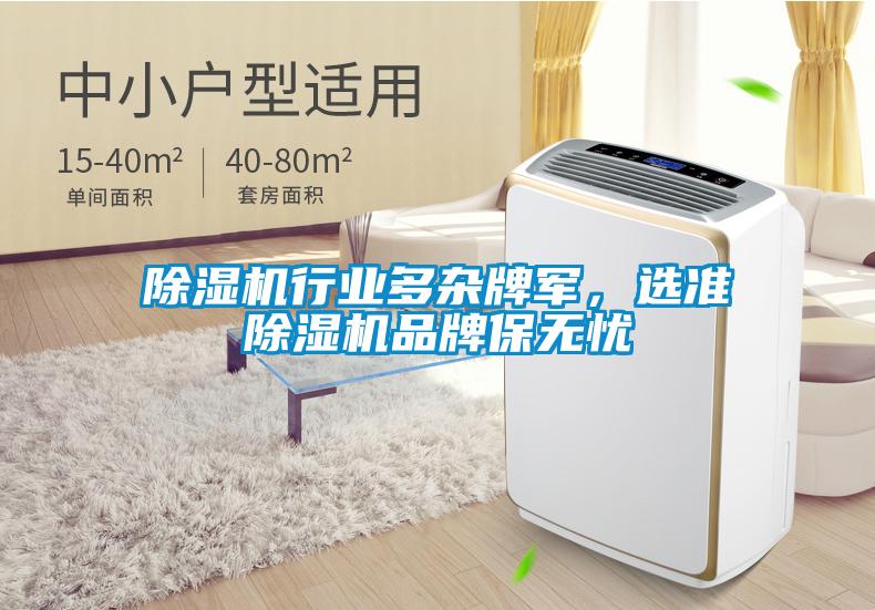 除濕機行業(yè)多雜牌軍，選準除濕機品牌保無憂