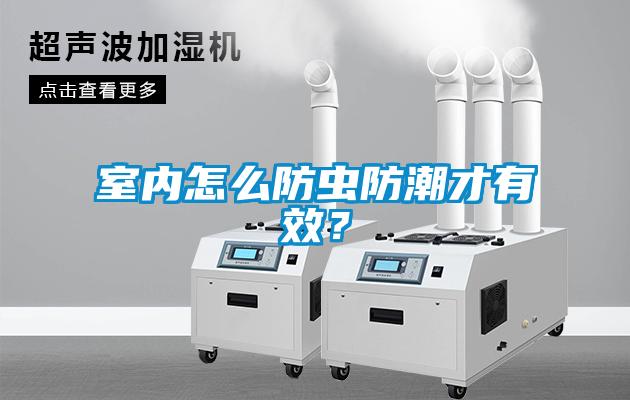 室內(nèi)怎么防蟲防潮才有效？