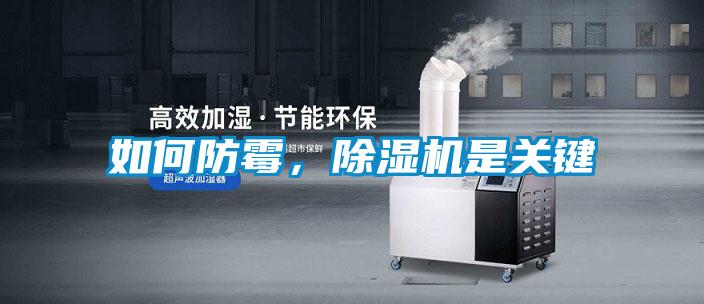 如何防霉，除濕機(jī)是關(guān)鍵