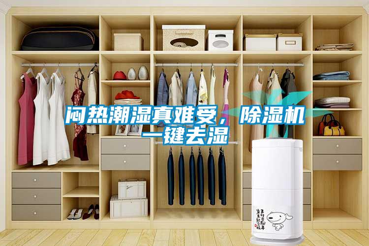 悶熱潮濕真難受，除濕機(jī)一鍵去濕