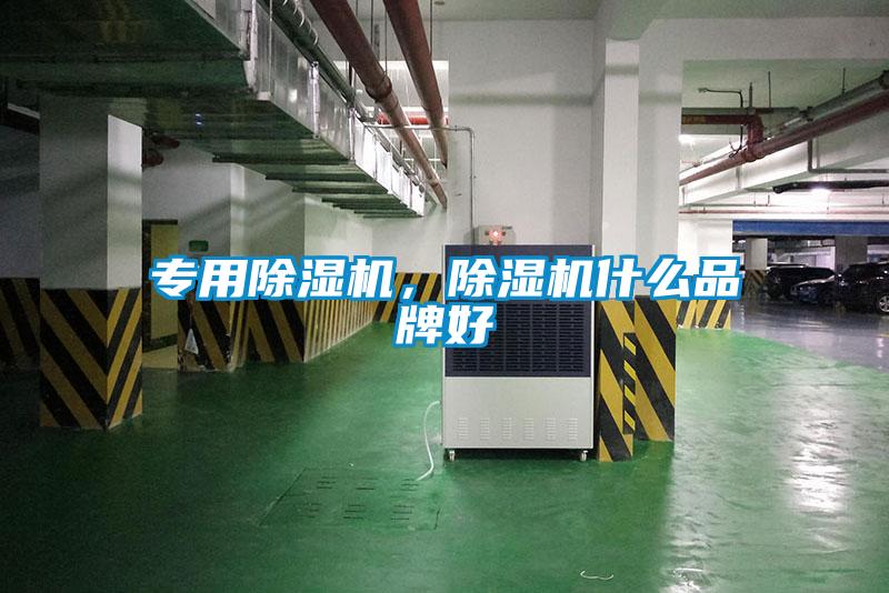 專(zhuān)用除濕機(jī)，除濕機(jī)什么品牌好