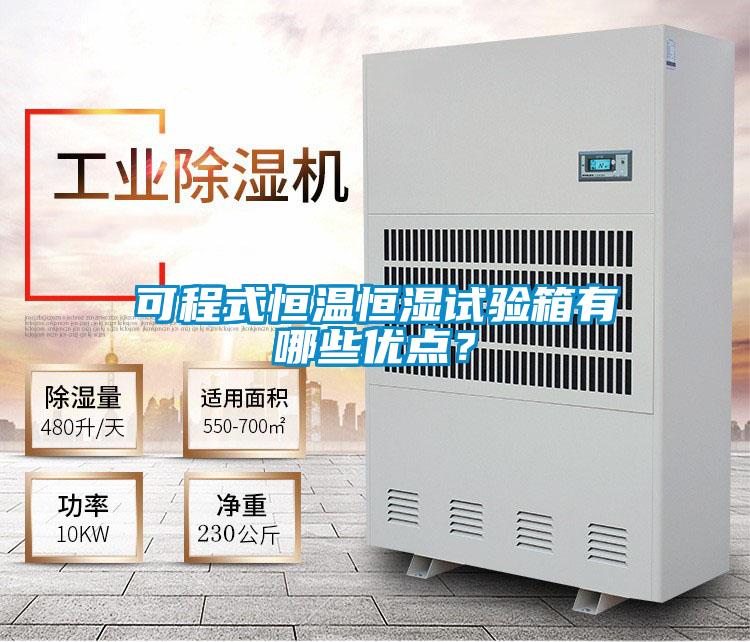 可程式恒溫恒濕試驗(yàn)箱有哪些優(yōu)點(diǎn)？