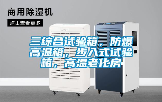 三綜合試驗(yàn)箱，防爆高溫箱，步入式試驗(yàn)箱，高溫老化房