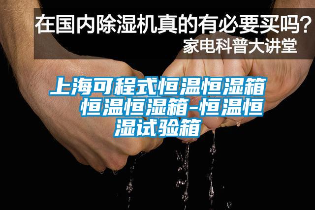 上?？沙淌胶銣睾銤裣? 恒溫恒濕箱-恒溫恒濕試驗箱
