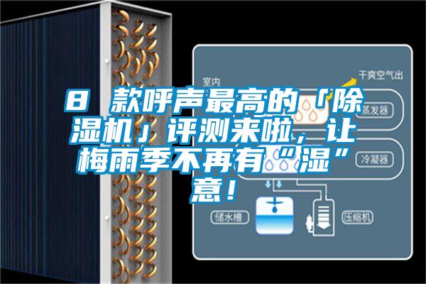 8 款呼聲最高的「除濕機(jī)」評(píng)測(cè)來(lái)啦，讓梅雨季不再有“濕”意！