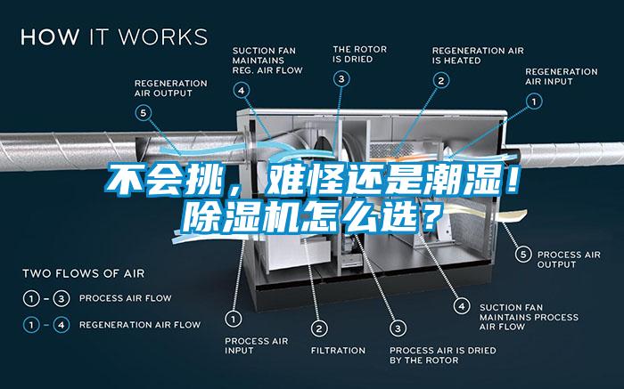 不會挑，難怪還是潮濕！除濕機怎么選？
