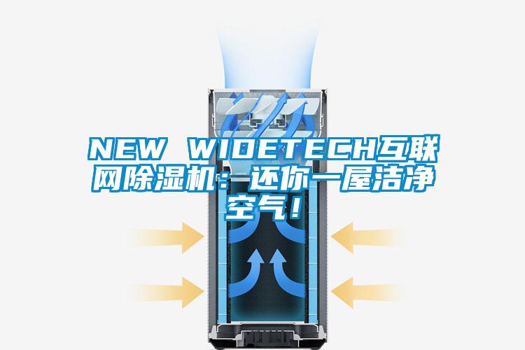 NEW WIDETECH互聯(lián)網(wǎng)除濕機：還你一屋潔凈空氣！