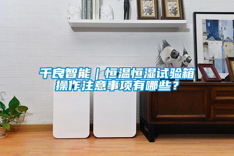 千良智能｜恒溫恒濕試驗(yàn)箱操作注意事項(xiàng)有哪些？