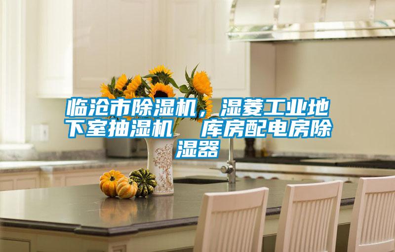 臨滄市除濕機(jī)，濕菱工業(yè)地下室抽濕機(jī)  庫房配電房除濕器