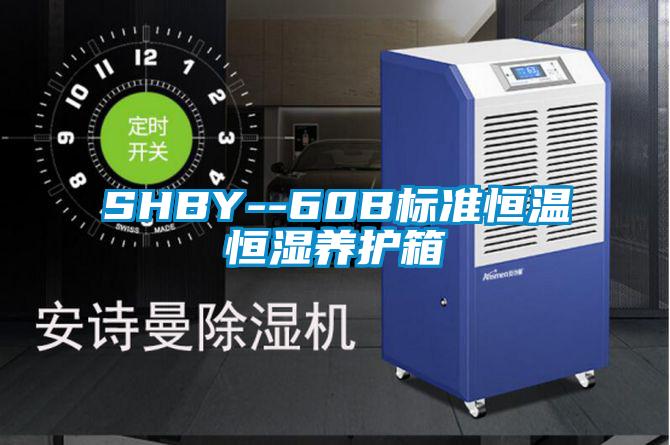 SHBY--60B標(biāo)準(zhǔn)恒溫恒濕養(yǎng)護(hù)箱