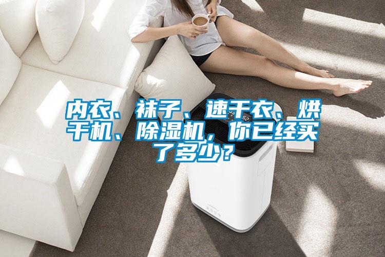 內(nèi)衣、襪子、速干衣、烘干機、除濕機，你已經(jīng)買了多少？