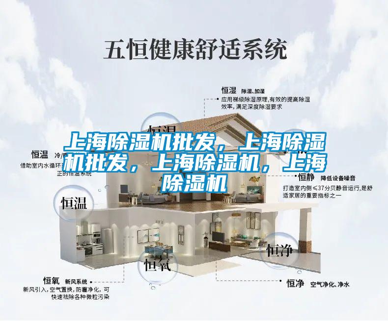 上海除濕機批發(fā)，上海除濕機批發(fā)，上海除濕機，上海除濕機