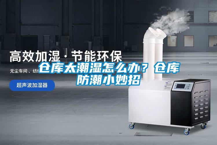倉(cāng)庫(kù)太潮濕怎么辦？倉(cāng)庫(kù)防潮小妙招