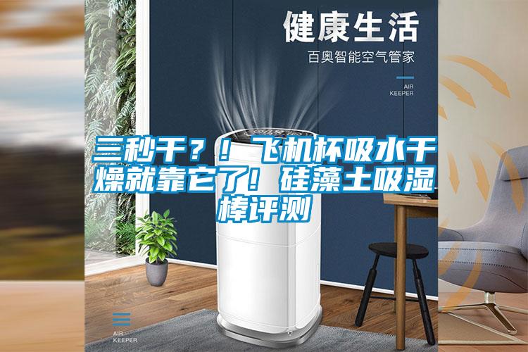 三秒干？! 飛機(jī)杯吸水干燥就靠它了! 硅藻土吸濕棒評(píng)測(cè)