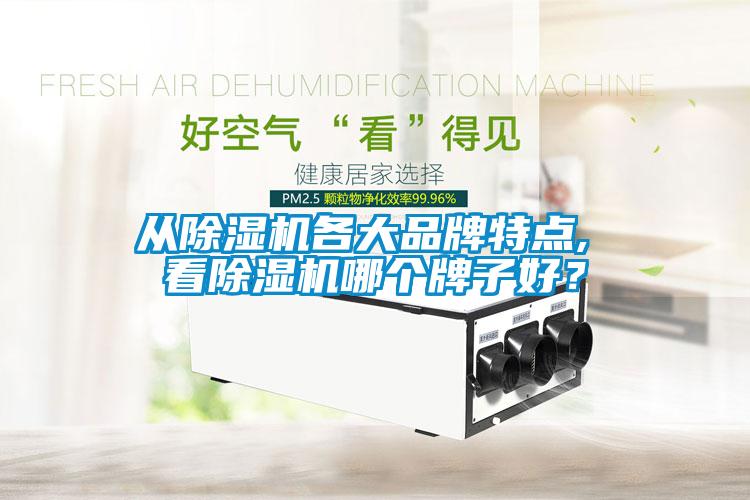 從除濕機(jī)各大品牌特點(diǎn), 看除濕機(jī)哪個(gè)牌子好？