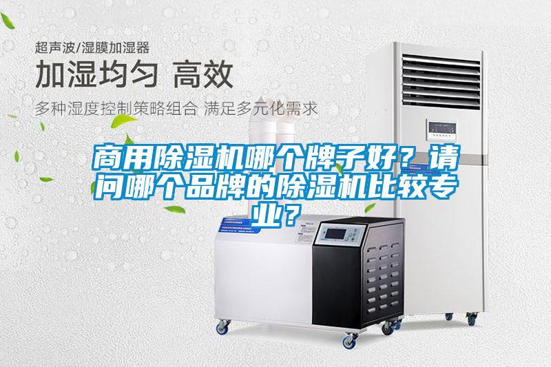 商用除濕機(jī)哪個牌子好？請問哪個品牌的除濕機(jī)比較專業(yè)？