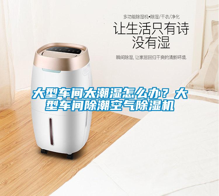 大型車間太潮濕怎么辦？大型車間除潮空氣除濕機(jī)