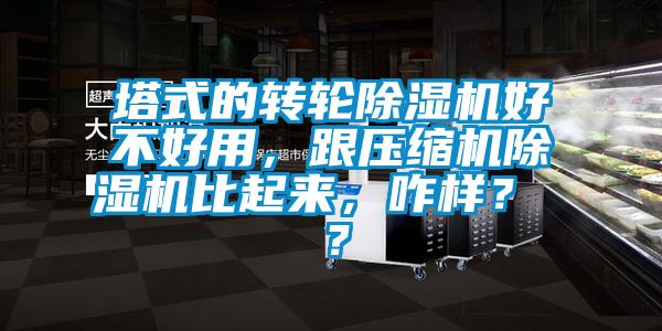 塔式的轉(zhuǎn)輪除濕機(jī)好不好用，跟壓縮機(jī)除濕機(jī)比起來，咋樣？ ？