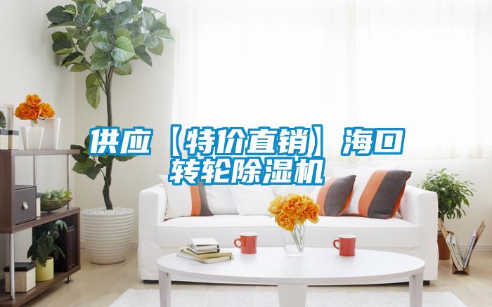 供應(yīng)【特價(jià)直銷】?？谵D(zhuǎn)輪除濕機(jī)